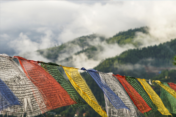 chan brothers travel bhutan