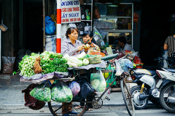 chan brothers hanoi tour