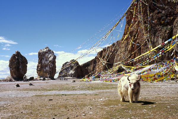 chan brothers travel to tibet